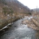 산외면~종산리 Daum카페
