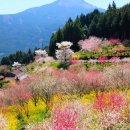 학성여자중학교 이미지