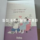 초월산부인과의원 | 아기 심장소리 주수 임신 6주 1일차 증상 및 초음파 결과