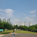 금곡22리(삼부르네상스) | [임장] 동탄 신도시 임장기(2)-동탄 1신도시(feat. 인동선, 메타폴리스, 동탄 센트럴파크)