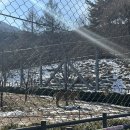 청년목공소 이미지