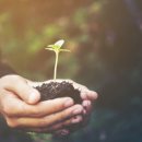 부야한의원 이미지