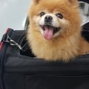 삼산종합동물병원 이미지