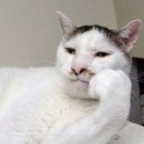 칠 이미지