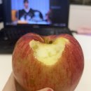 나도 사과 한 입!!! 🍎 이미지