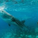 리버사이드라이브클럽 이미지