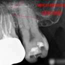 광화문광장치과의원 이미지