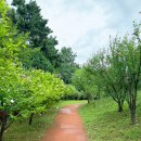 자생원 | 오산 물향기수목원, 수도권 가볼만한 무료 수목원(+숲속 책방)