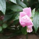 바늘소녀공작소 | 바늘소녀 공작소 9주년 기념 후기 이벤트 발표