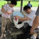 신촌마을 이미지