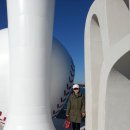 칠암바다장어 이미지