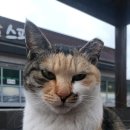 석모도 | 강화석모도미네랄스파 노천탕 후기 _ 석모도 미네랄온천, 강화도 갈만한 곳 추천!