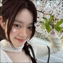 서울신학초등학교 | 이승기 이다인 결혼식장 신혼집 위치 및 나이차이 프로필 직접 정리