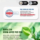 달꿈고래 | [춤추는고래 생리대&팬티라이너 3종], 보송한 생리대 추천✨