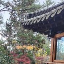 단풍펜션 이미지