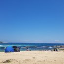 척산족욕공원 Daum카페