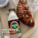 2022년 6월 (3) For Youth
