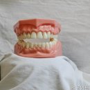 이-편한치과의원 | 서울치과 서울이편한치과의원 여기서 모든 고민 해결