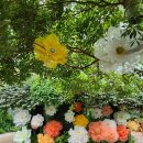 대전 아이와 가볼 만한 곳 | 국립중앙과학관 어린이과학관, 동학사