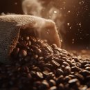 ☕ 구수한 단맛 폭발! 입맛 저격하는 커피 원두 🔥