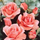 상상력미술 이미지