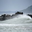 Moving Hom 연합뉴스