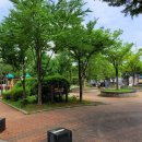 원골어린이공원 이미지