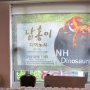비디비렙타일 | [코리아 렙타일 쇼] 제 1회 코리아 렙타일 쇼
