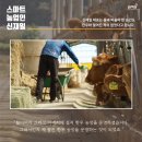 신재일농장 이미지