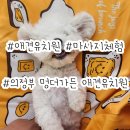 멍더가든 이미지