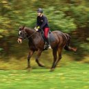 벤처벨리네거리 이미지