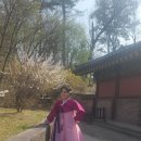 나드리한복 - 남구 월평로47번길 7 | 나드리한복