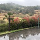 여수 유니코풀빌라펜션 이미지