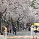 경주숲 3,4 이미지