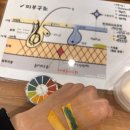 임뷰티 이미지