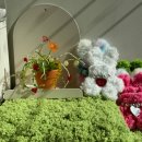 삼안로 | 김해 실내 데이트 김해 비즈식물만들기 쪼선생펫아트 솔직 후기