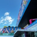 이순신체육관 | [아산] 이순신체육관 주차 · 여자프로농구 1층 프리미엄석 N블럭 E열 시야 · 2023-24 올스타전 직관 후기