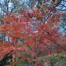 가증농장 이미지