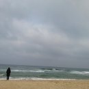 청태산목장 이미지