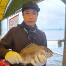 항구낚시터 이미지