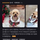 댕실댕실 이미지