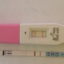 배란테스트기로 임신확인 이미지
