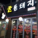 꿀통돼지