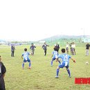 부여종합운동장 잔디구장 이미지