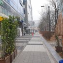 에스엔티미디어 네이버블로그