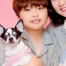 부산애견호텔 강아지유치원 애견미용 맘바이 수영구점 이미지