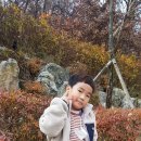 최희섭공원 이미지