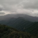 엄사약국 이미지