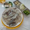 유정이네 | 강릉 주문진시장 근처 오징어회 맛집 아들바위공원 소돌항 맛집 유정이네 내돈내산 솔직 후기