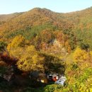 창원 휴양림 오토 캠핑장 이미지